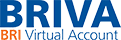 BRI VIRTUAL ACCOUNT